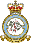 Rapid Application Integration & Development Flight, Royal Air Force logo