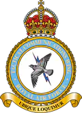 Tactical Communications Wing, Royal Air Force logo